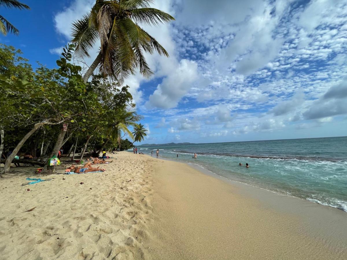 Appartement Vue Mer A 2 Minutes A Pied Des Plages Tartane La Trinite Ngoại thất bức ảnh